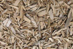 biomass boilers Lypiatt